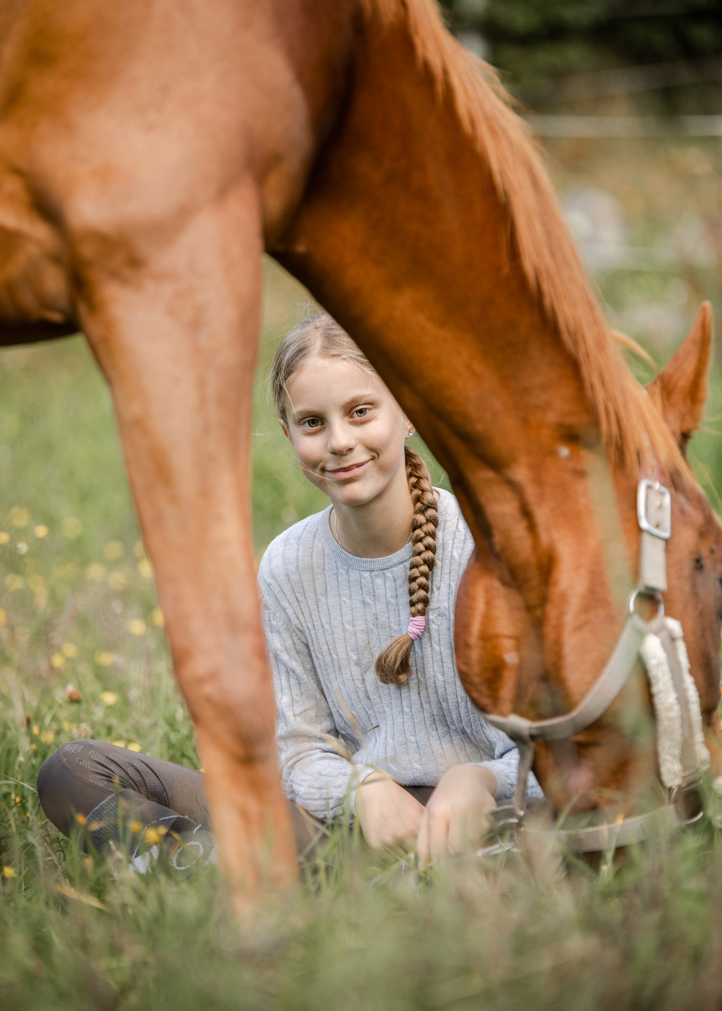 Barn, Häst, Fotograf Trosa